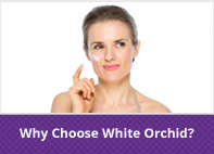 Why Choose White Orchid